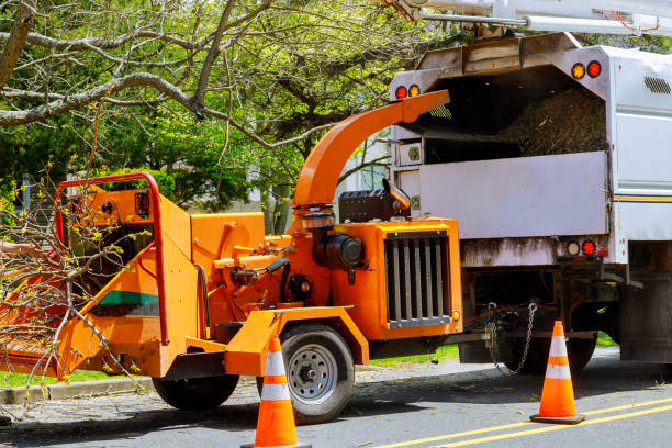 Best Commercial Tree Services  in , DC